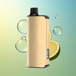 Alibarbar Ingot 9000 Puffs Kühle Minze 22ml E-Liquid Deutschland Großhandel