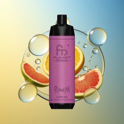 RandM Fumot Shisha 10000 Puffs Lush Eis 0,6ohm Mesh Coil Deutschland Großhandel