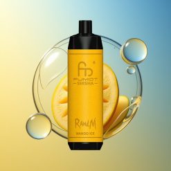 RandM Fumot Shisha 10000 Züge Mango Eis Typ-C Port Deutschland Großhandel