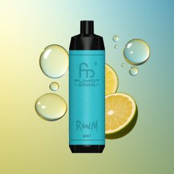 RandM Fumot Shisha 10000 Züge Minze Deutschland Großhandel