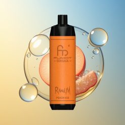 RandM Fumot Shisha 10000 Züge Pfirsich Eis 18ml Deutschland Großhandel