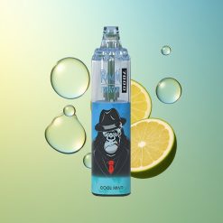 RandM Fumot Tornado 7000 Züge Cool Minze Mesh Coil Deutschland Großhandel