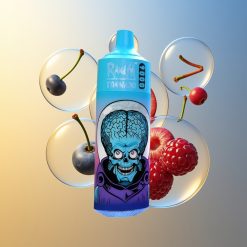 RandM Fumot Tornado 9000 Puffs Blaubeere Kirsche Preiselbeere Deutschland Großhandel