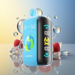 ELF BAR RAYA D3 25000 Puffs Blaubeere-Eis Display Type-C Deutschland Großhandel