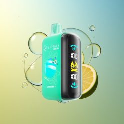 ELF BAR RAYA D3 25000 Züge Alpenminze Großhandel Deutschland