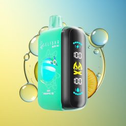 ELF BAR RAYA D3 25000 Züge Kiwi Ananas Eis 23ml Deutschland Großhandel