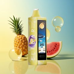 Elf Bar Planet 25000 Züge Einweg-Vape Ananas Wassermelone Mesh Deutschland Großhandel