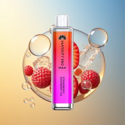 Hayati Pro Max 4000 Züge Erdbeere Himbeere Eis Dual 1.1 Ohm Mesh Coil Deutschland Großhandel