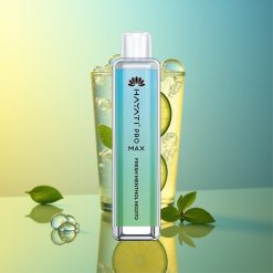 Hayati Pro Max 4000 Züge Frische Minze Mojito 1400mAh Deutschland Großhandel