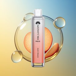 Hayati Pro Max 4000 Züge Saftiger Pfirsich Dual 1.1 Ohm Mesh Coil Deutschland Großhandel