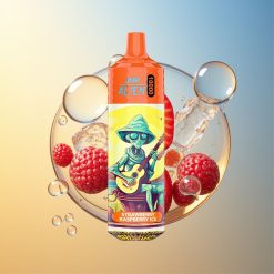 JNR Alien 10000 Puffs Erdbeere Himbeere Eis Type-C Schnellladung Deutschland Großhandel