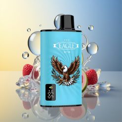 JNR EAGLE Smart 23000 Puffs Blaubeere Eis Digitales Display Deutschland Großhandel