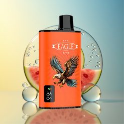 JNR EAGLE Smart 23000 Puffs Wassermelone Eis Digitales Display Deutschland Großhandel