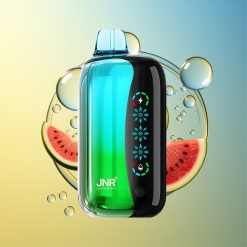 JNR Flex Ice 21000 Puffs Kiwi Wassermelone Eis Einstellbare Luftströmung Deutschland Großhandel