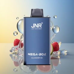 JNR Mega Box 25000 Puffs Blaubeer Eis Deutschland Großhandel
