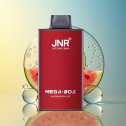 JNR Mega Box 25000 Puffs Wassermelone Eis Deutschland Großhandel