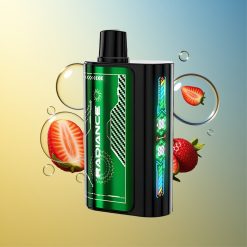 JNR Radiance 31000 Züge Erdbeer Kiwi Dual Mesh Coil Deutschland Großhandel