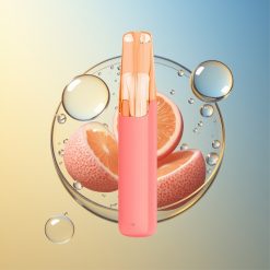 Snowplus Dash 4000 Züge Litschi Eis 5% Deutschland Großhandel