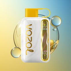 VOZOL STAR 40000 Züge Mango Eis 1000mAh Deutschland Großhandel
