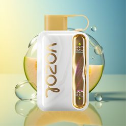 VOZOL STAR 40000 Züge Melone Eis 1000mAh Deutschland Großhandel