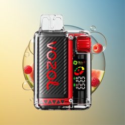 VOZOL Vista 20000 Züge Himbeere Wassermelone OLED Display Deutschland Großhandel