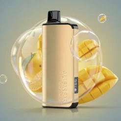 AliBarBar Ingot 9000 Züge Mango Magie 22ml Deutschland Großhandel